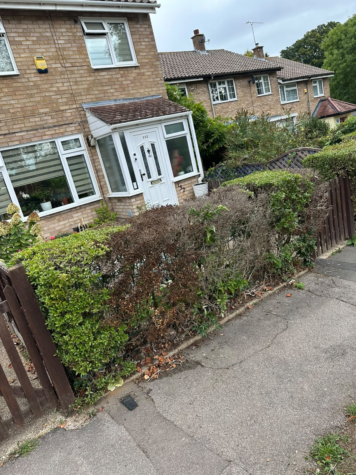 Before: front garden hedge removed and new turf laid